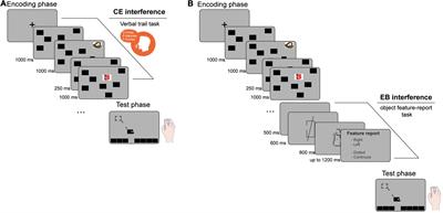 The binding of negative emotional stimuli with spatial information in working memory: A possible role for the episodic buffer